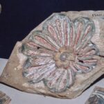 Fragment of stucco with flower